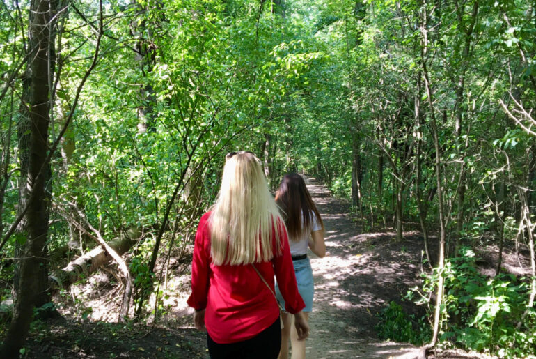 smolec lasek blog majkpisze