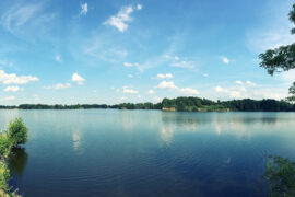 Dolina Baryczy, Stawno, Milicz, Park Krajobrazowy, blog, majkpisze.pl